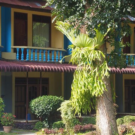 Wisma Leuser Sibayak Букит-Лаванг Экстерьер фото
